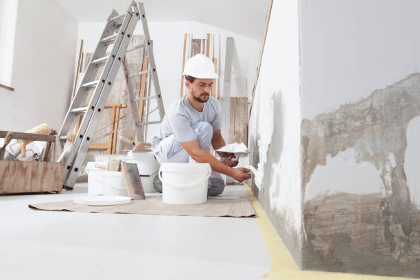 Mold Removal for HVAC Installations in Loyola, CA