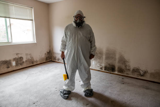 Best Industrial Mold Remediation  in Loyola, CA